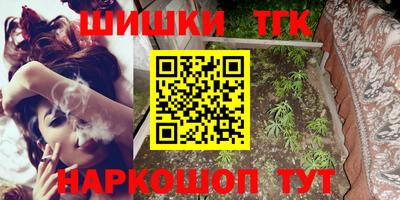 индика Брянск