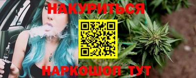 индика Брянск
