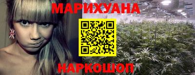 spice Братск