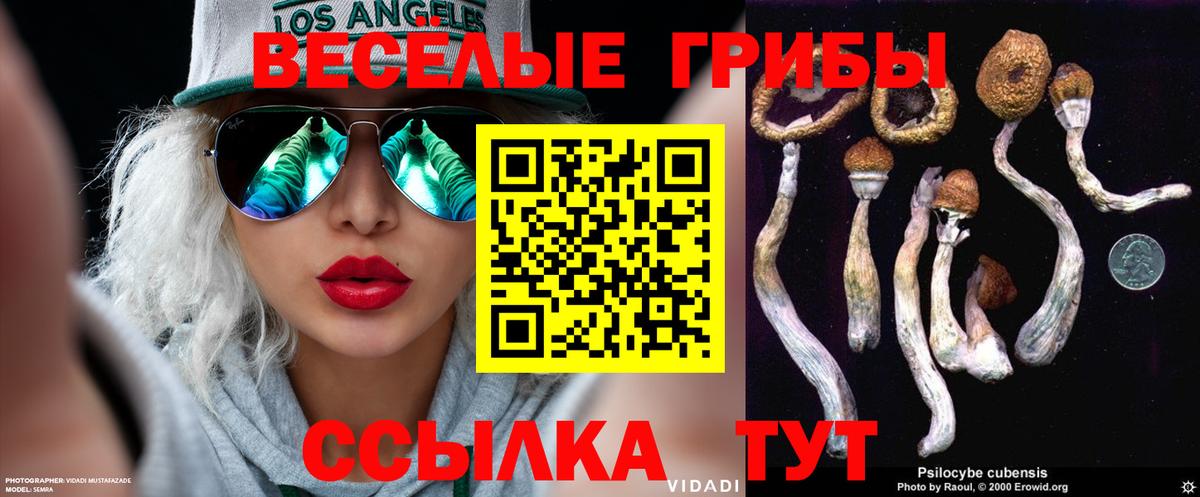 Псилоцибиновые грибы Cubensis Северобайкальск
